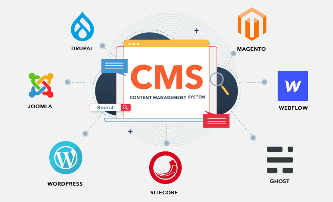 8 Best Content Management Systems